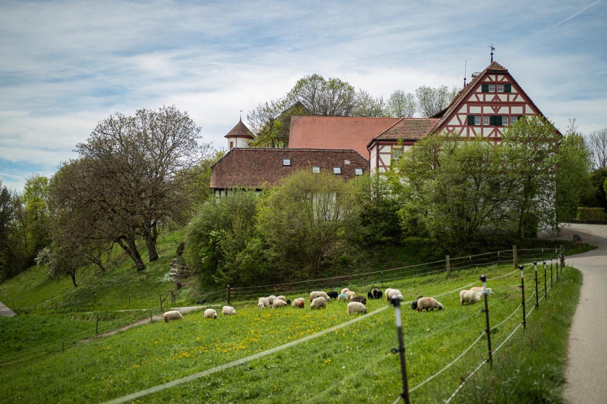 Hotel & Tagungszentrum Schloss Hohenfels Hohenfels  Exteriér fotografie